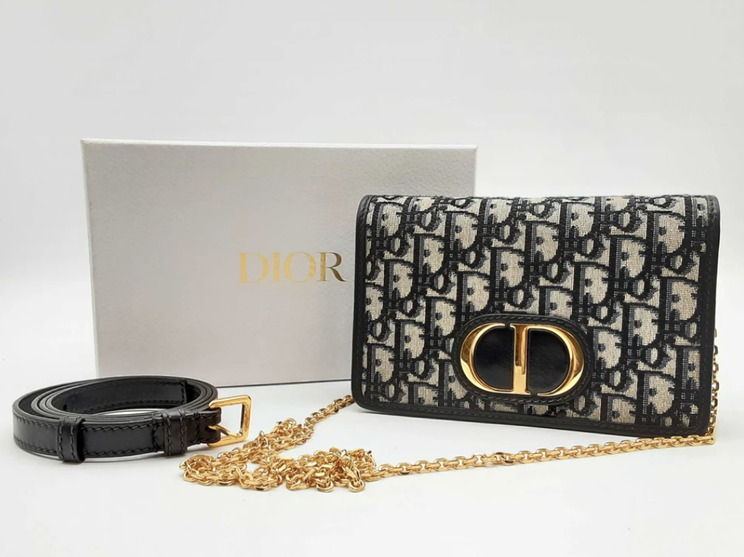 A designer Dior handbag featuring a black and gray patterned exterior with a prominent golden clasp in the center, a black strap, and a gold chain, displayed against a plain white background with a matching box labeled