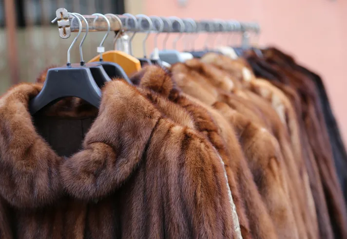 A rack of fur coats hanging on hangers, indicating a display in a store or closet.