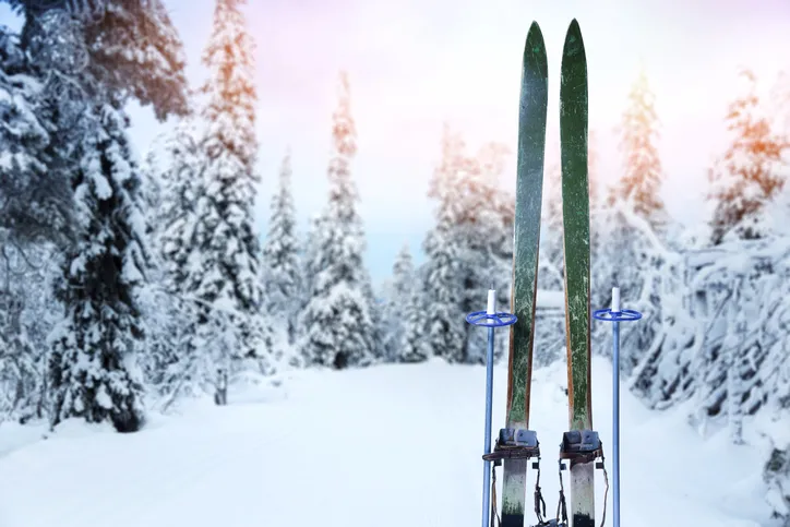 A pair of cross-country skis and poles set in a snowy forest landscape.